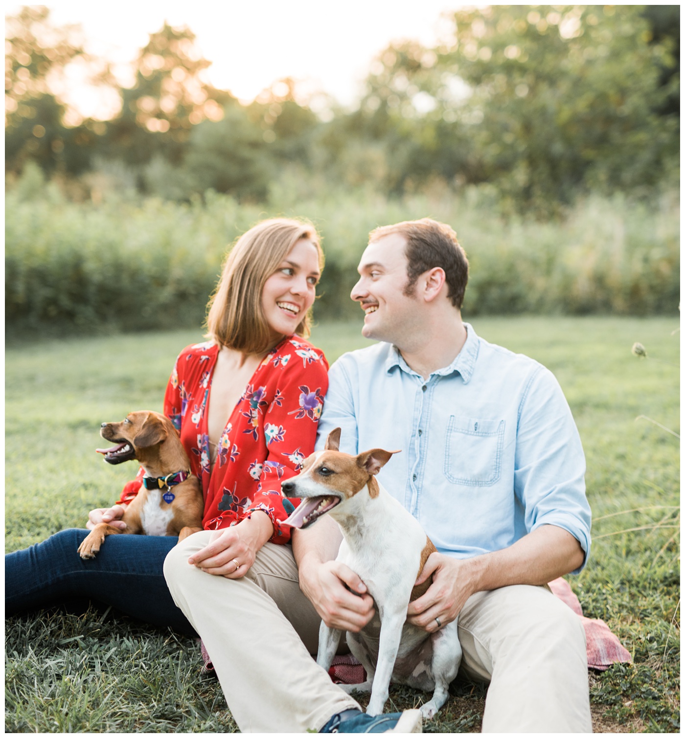 couple sitting in a field with their puppies 