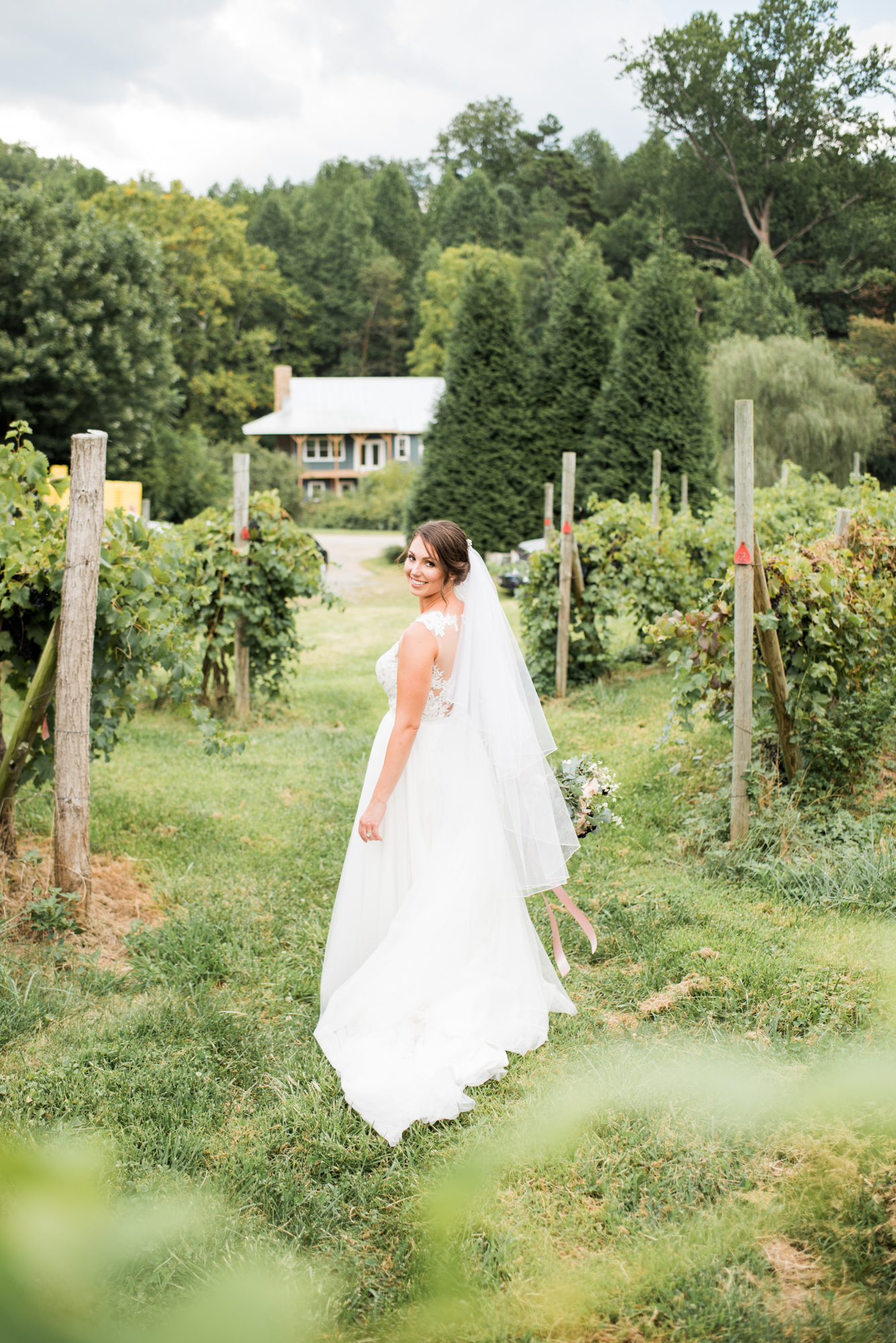 Bride walking through the vines at Delfosse in Charlottesville Virginia