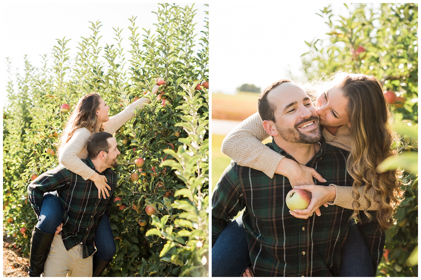 newly engaged couple apple picking 