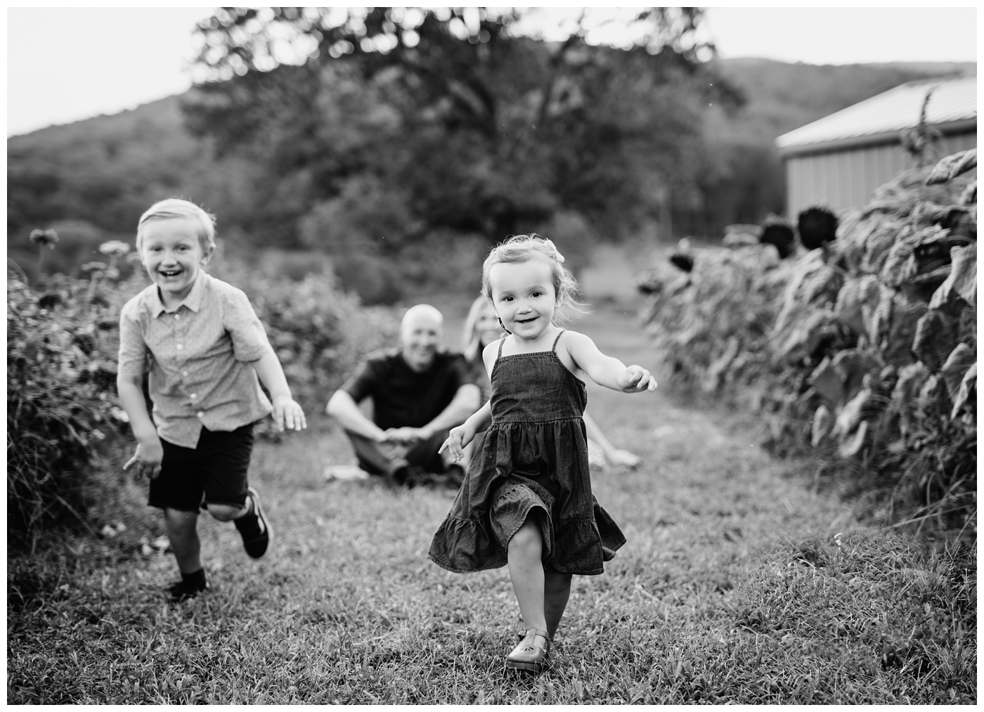 Chiles Peach orchard, family playing in a wildflower field 
