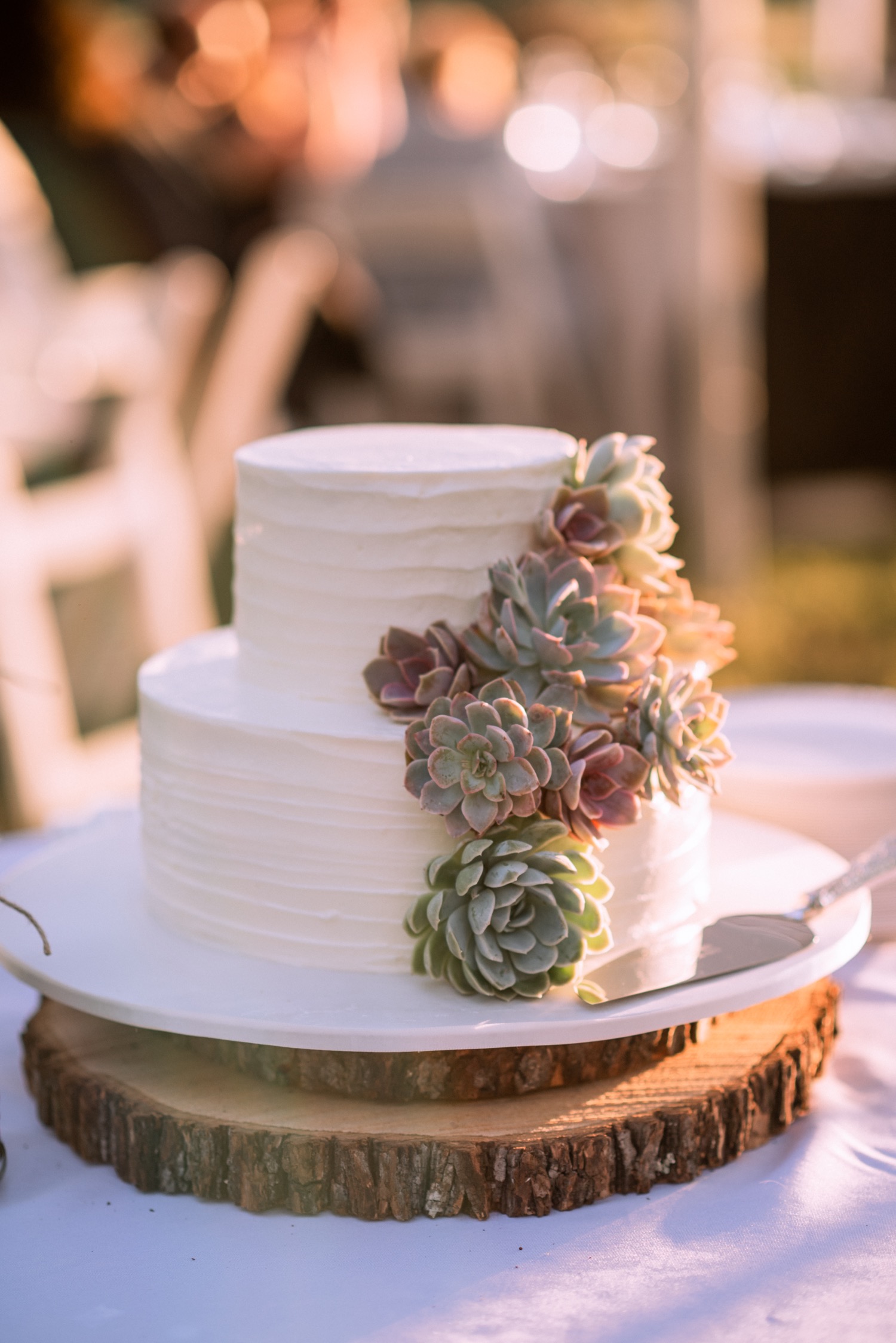wedding cake with succulent accents