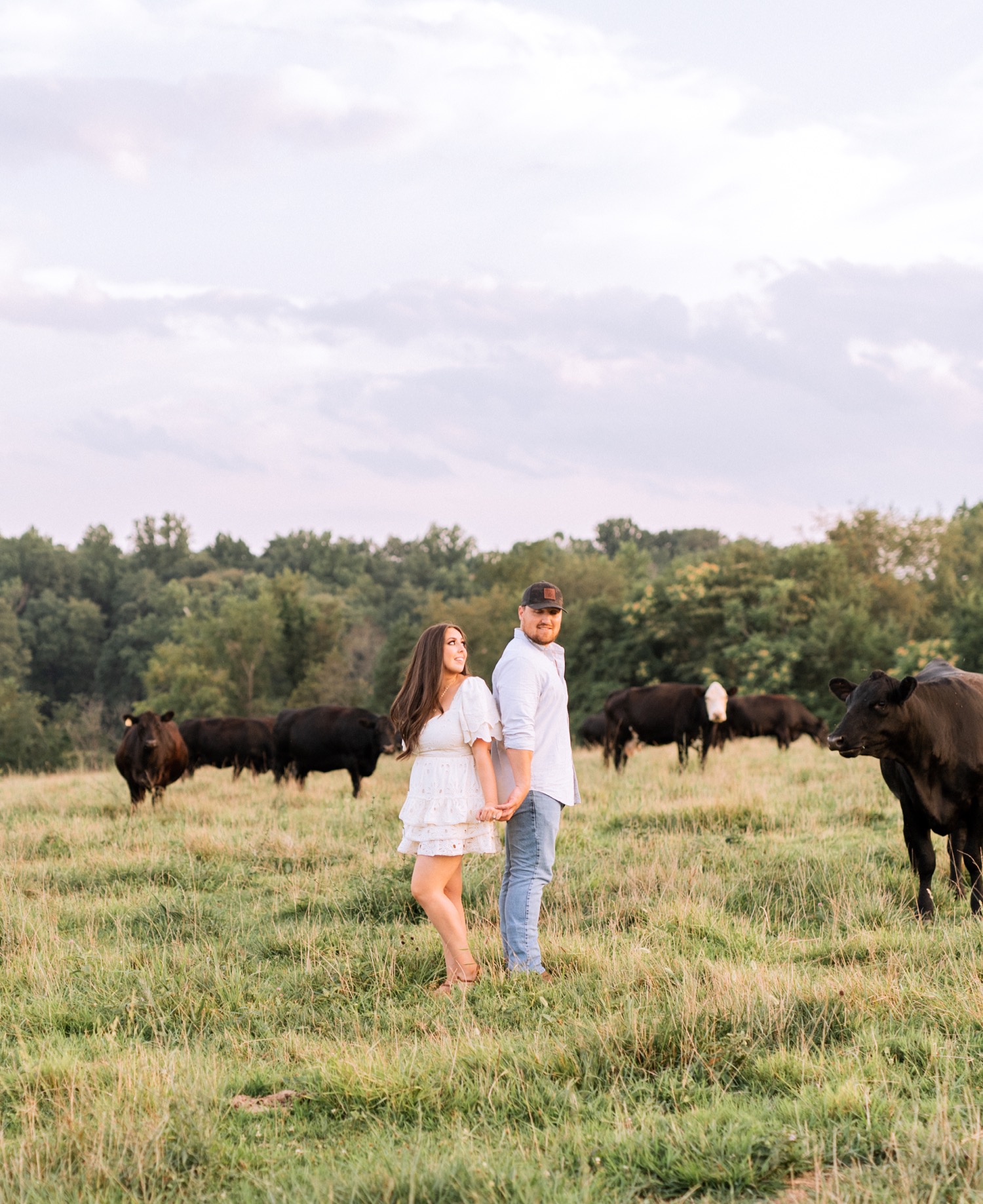 engaged couple standing back to back with the cows in the field behind them