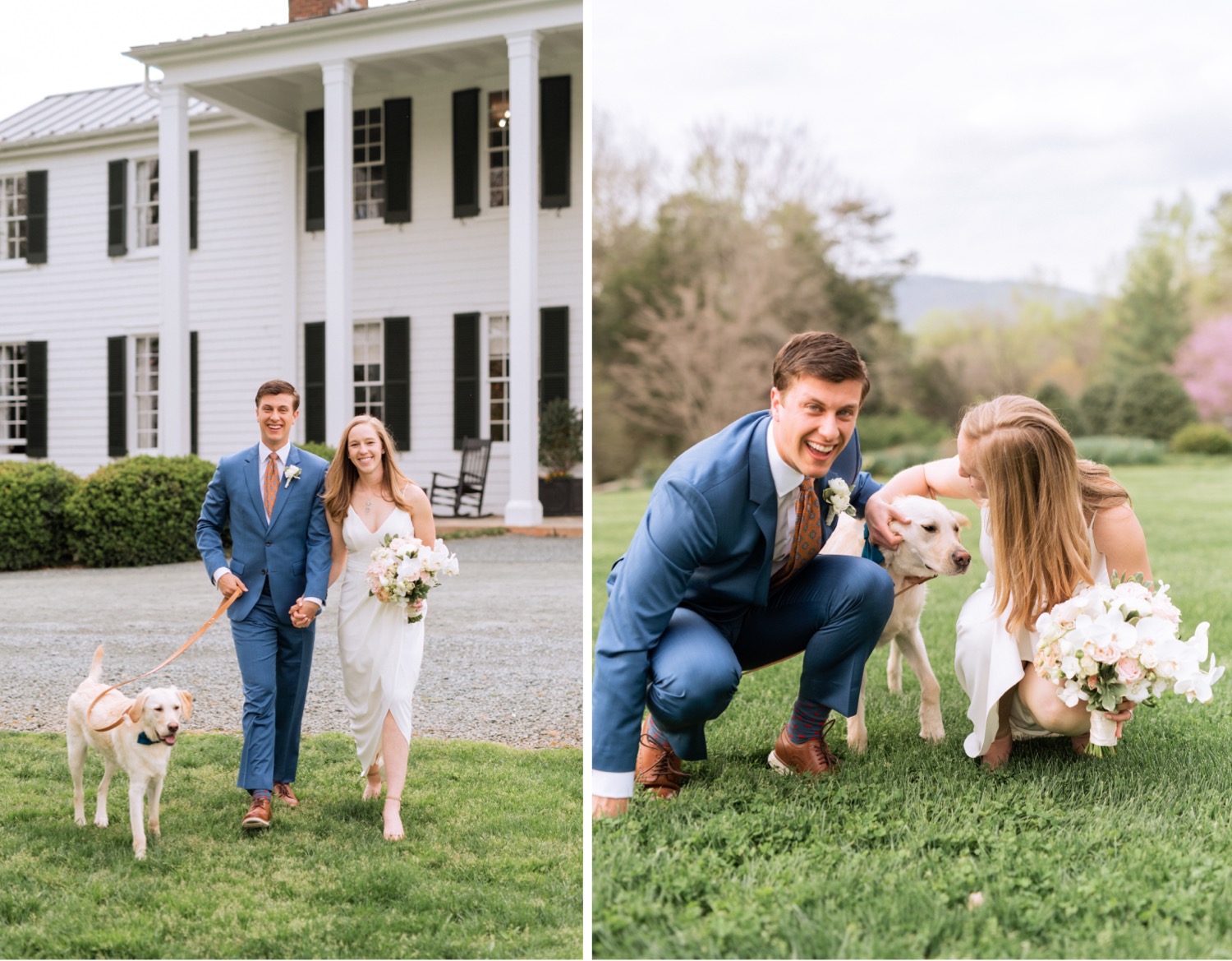 bride and groom celebrate their wedding day with the family dog
