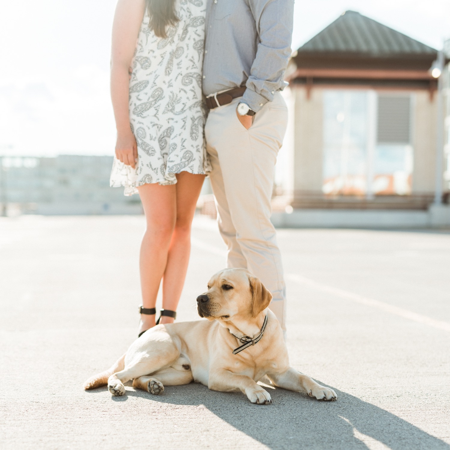 engaged couple kissing while dog sits at their feet and looks away from the camera