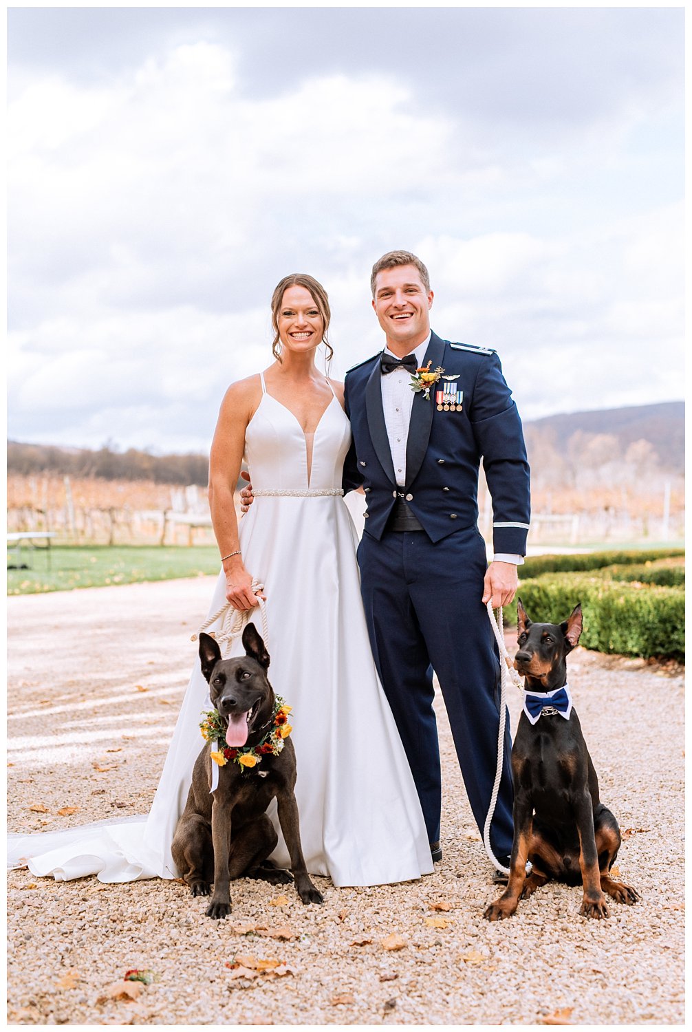Bride & Groom pose with their dogs at Keswick Vineyard Wedding photographed by Heather Dodge Photography