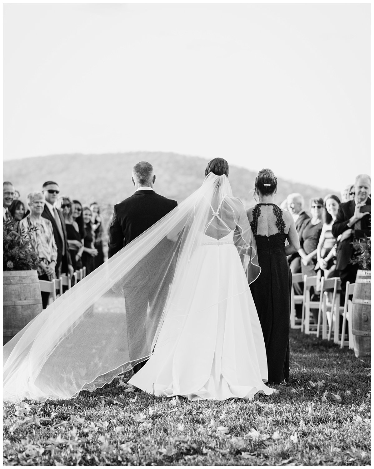 Wedding ceremony at Keswick Vineyard photographed by Heather Dodge Photography