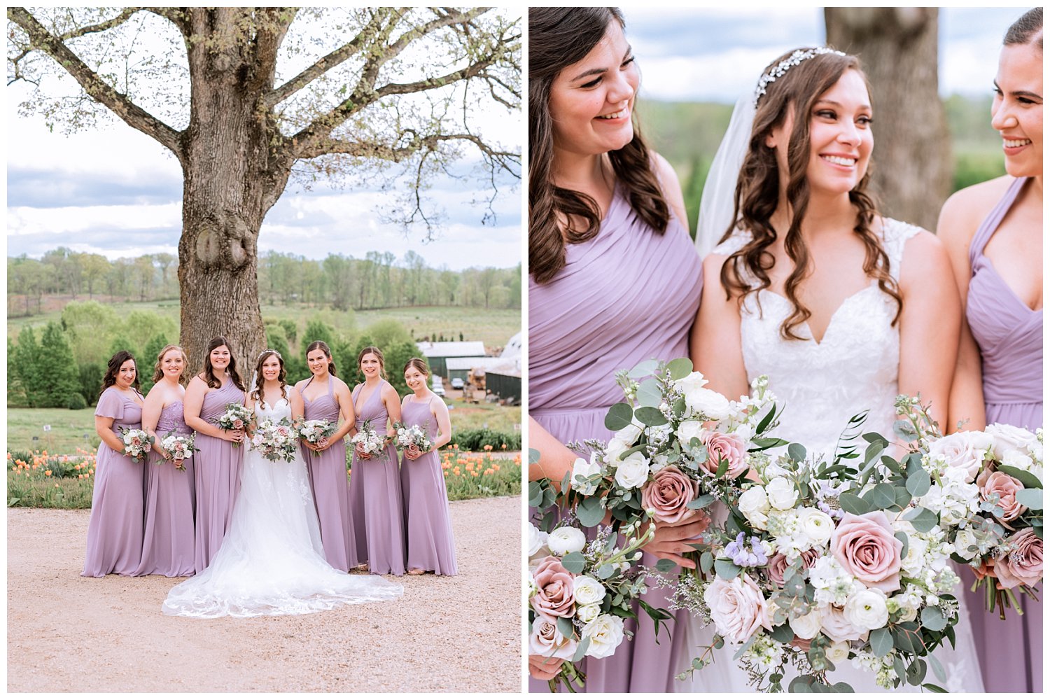Lavender bridal party portraits for a Wedding at The Market at Grelen photographed by Heather Dodge Photography