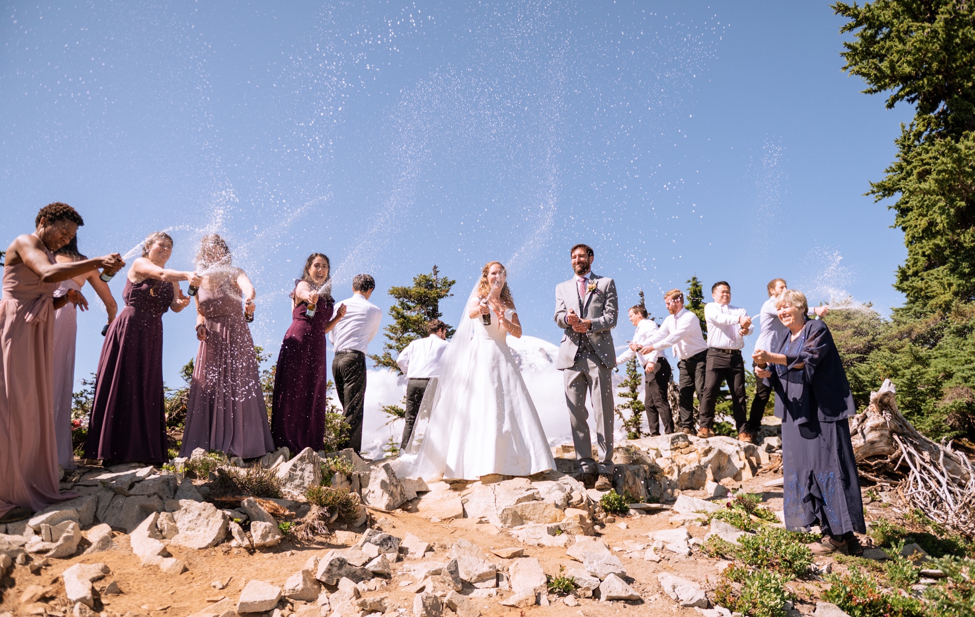 entire wedding party celebrating the newly married couple on top of mt rainier